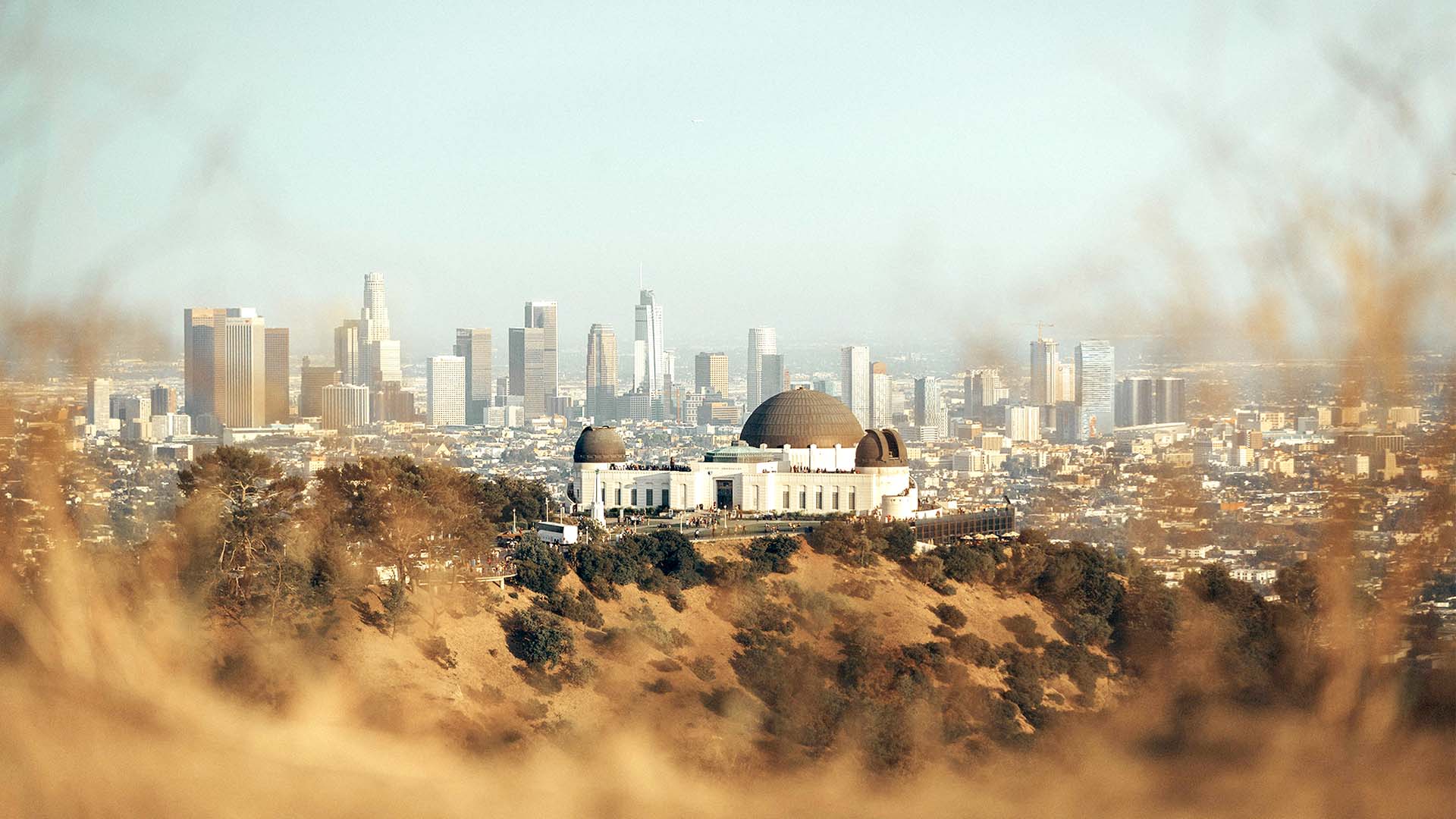 What is the Thirty Mile Zone? Wrapbook